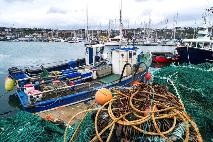 Le port de pêche de Cork