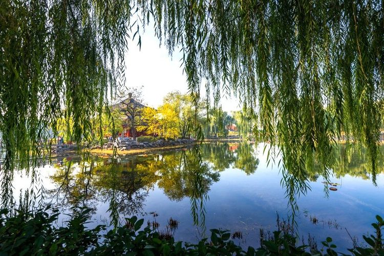Le jardin Yuanming Yuan dans le parc du Palais d'été