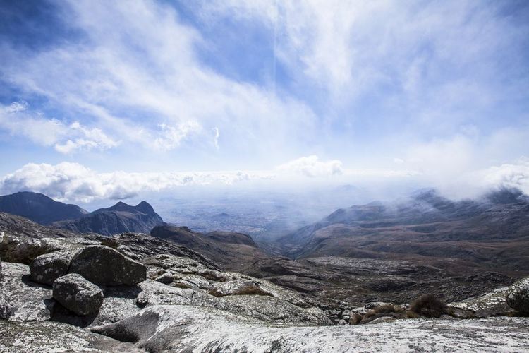Réserve forestière de montagne de Mulanje