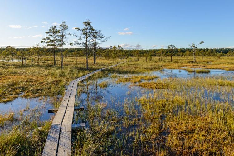 Parc national de Soomaa, Estonie