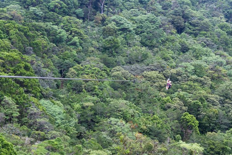 Tyrolienne à Monteverde Costa Rica