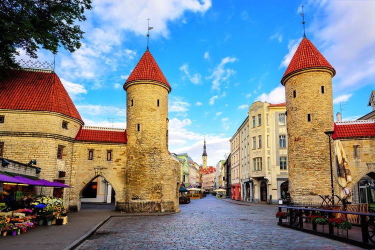 La porte de la vieille ville avec les tours jumelles de Viru Gate à Tallinn