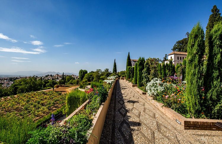 En montant sur le hauteurs de l'Alhambra