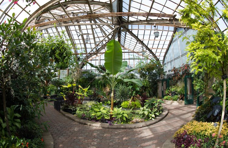 Lincoln Botanical Garden in Chicago