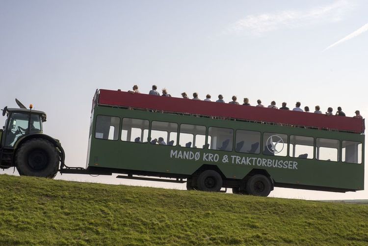 Le tracteur-bus de Mandø.