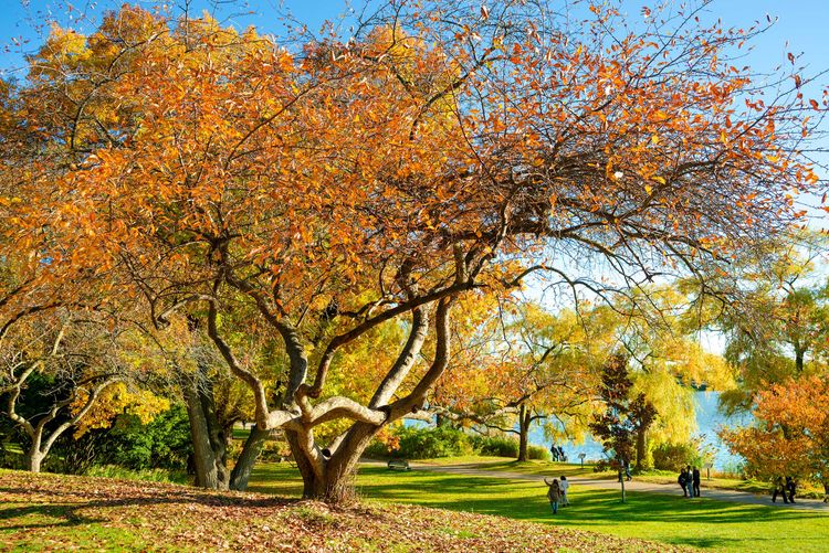 A breath of fresh air in the heart of Toronto: High Park
