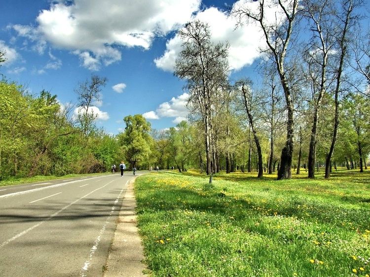 Promenade autour du lac