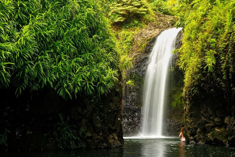 Chute d'eau de Wainibau, Fidji