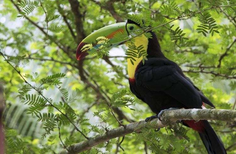 Costa Rica