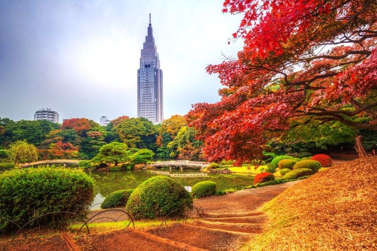 parc Shinjuku Gyoen