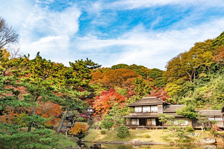 Le jardin de Sankei-en