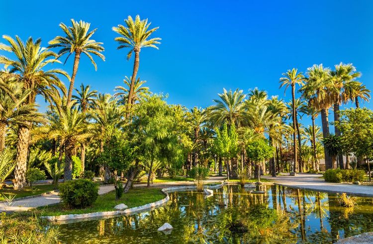 Le Palmeraie d'Elche, en Espagne