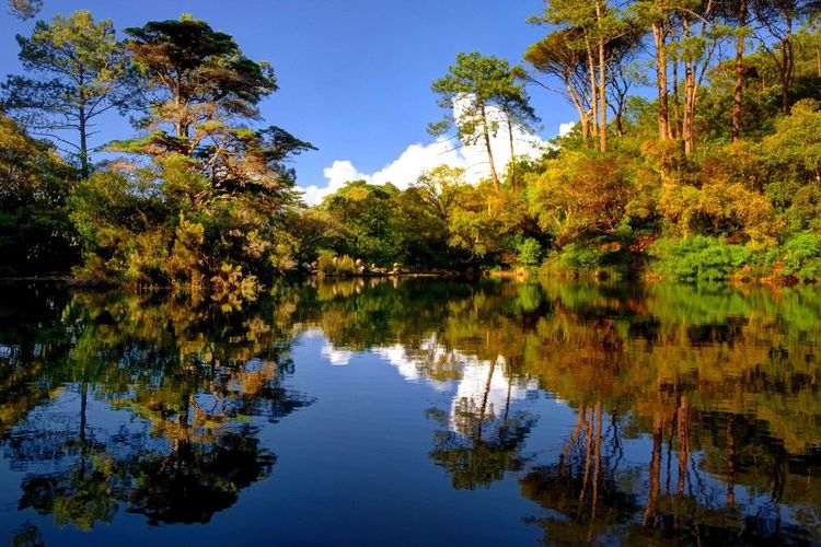 Parc naturel de Sintra-Cascais : voyage au cœur de la nature