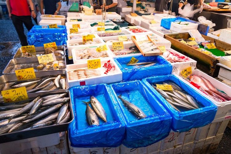 Poissons sur le marché de Toyosu