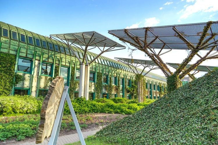 Installations pour le développement des plantes et des arbres sur le toit de la Bibliothèque Universitaire 