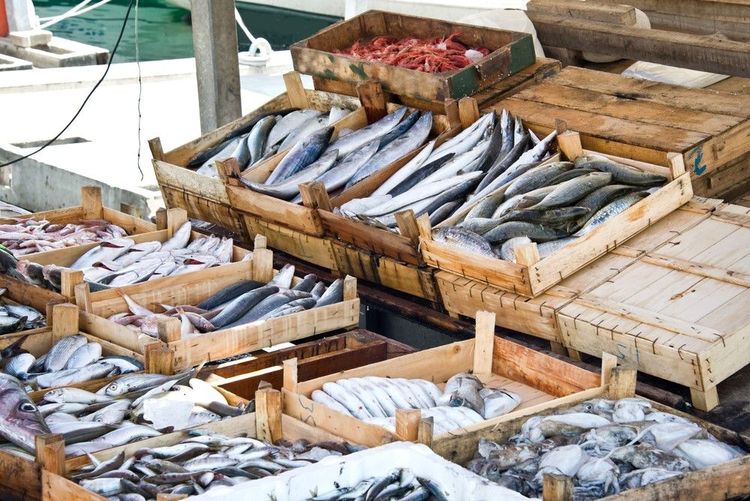 Marchand de poissons frais sur le port de Bodrum
