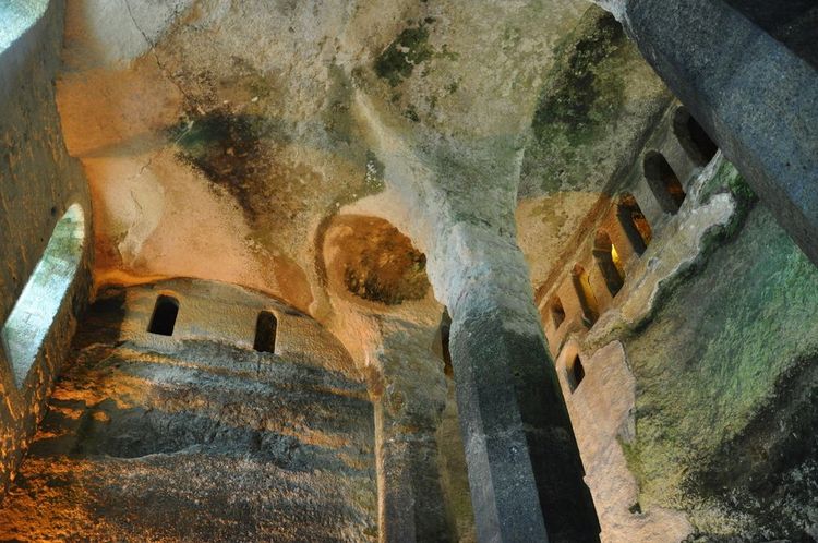 Le plafond naturel de la nef et ses imposantes colonnes