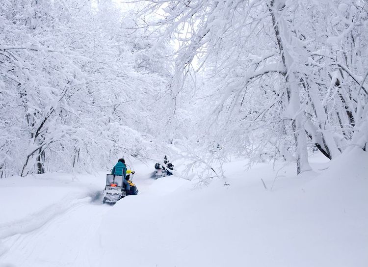 Motoneige dans la forêt finlandaise
