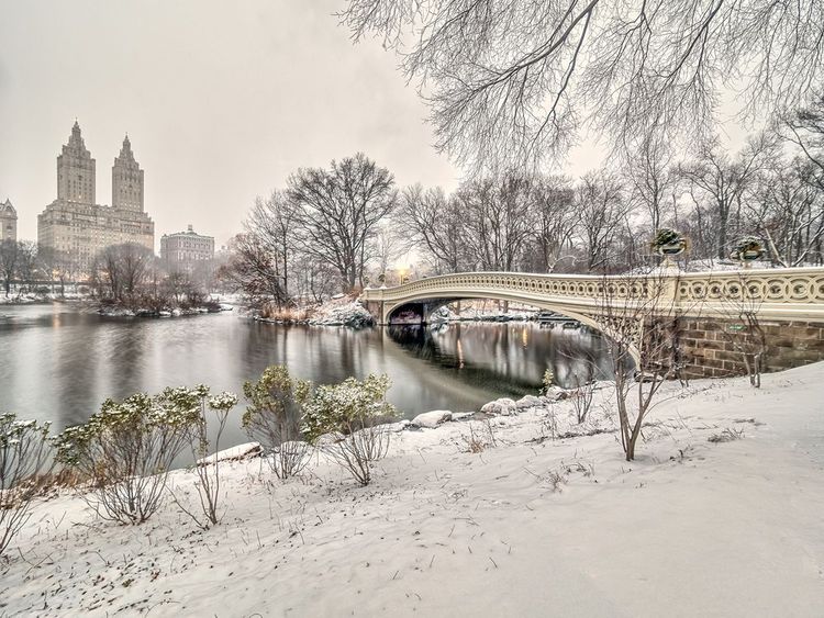Central Park et son bow bridge sous la neige
