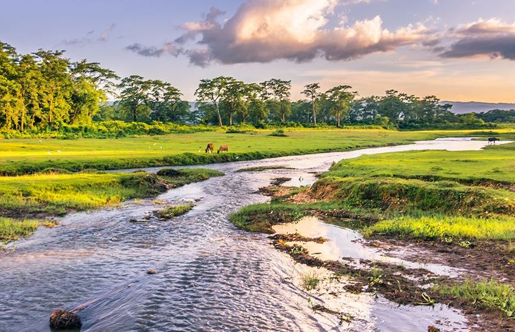 Le parc national de Chitwan