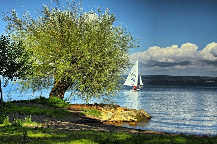 Voile sur le lac de Bolsena