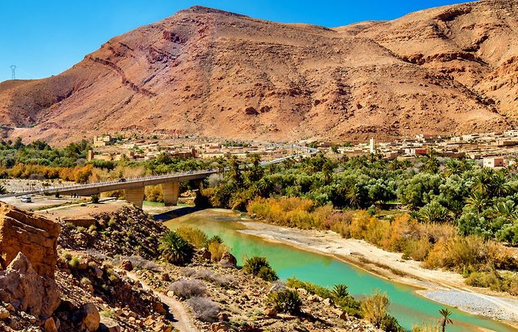 Oasis dans la vallée du Ziz, Maroc