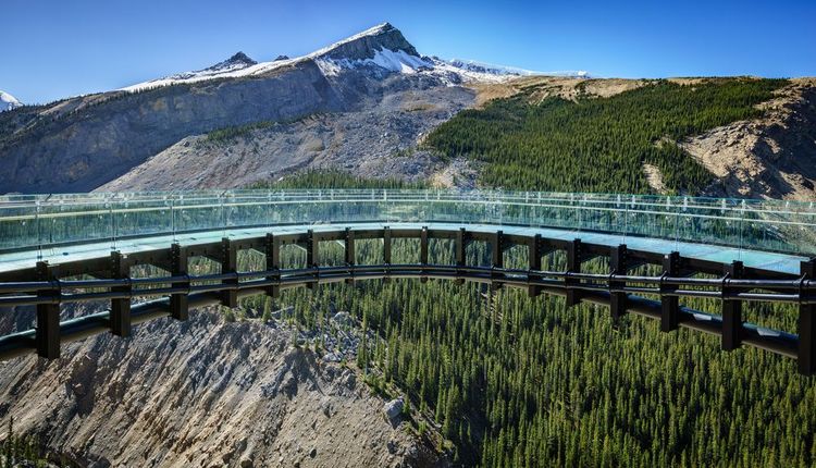 la promenade du glacier en verre près du champ de glace Columbia,Canada