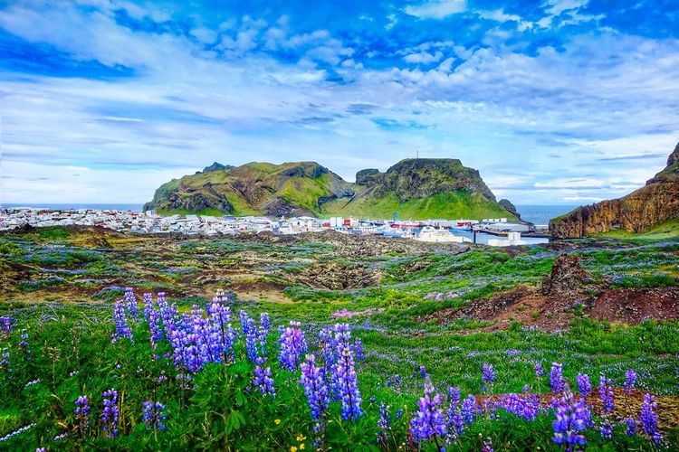 Vue sur Vestmannaeyjar