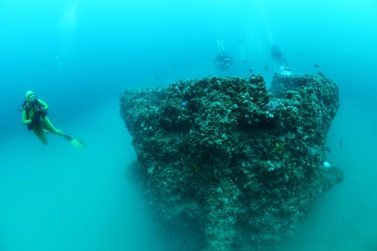 Le destroyer Giuseppe Dezza est recouvert de coquillages