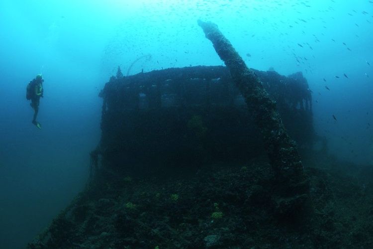 Le Baron Gautsch impressionne par sa taille