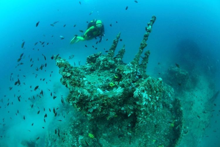 La plongée permet de "survoler" les bâtiments qui ont sombré (ici, le destroyer Giuseppe Dezza)