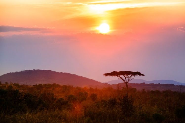 Parc national de Nyika