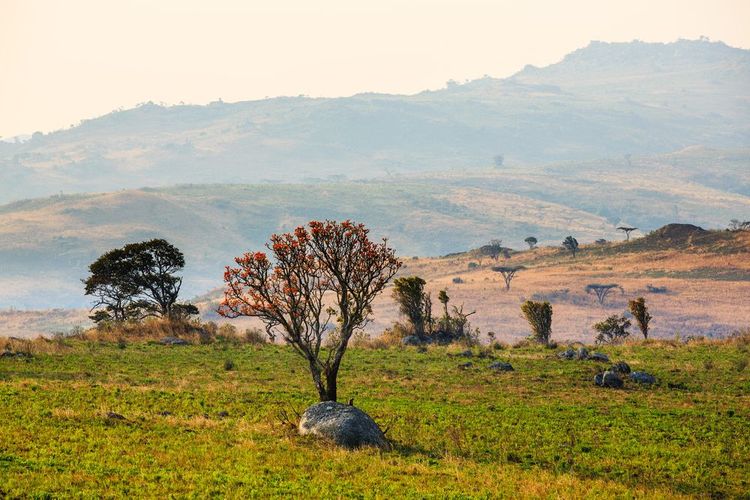 Parc national de Nyika