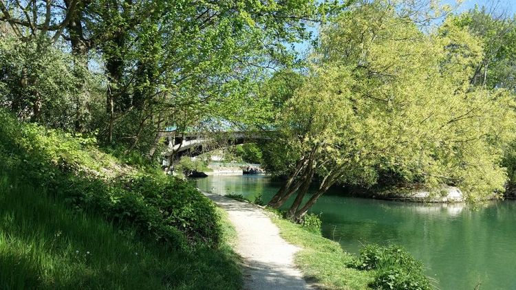 Les bords de Marne, à Champigny.