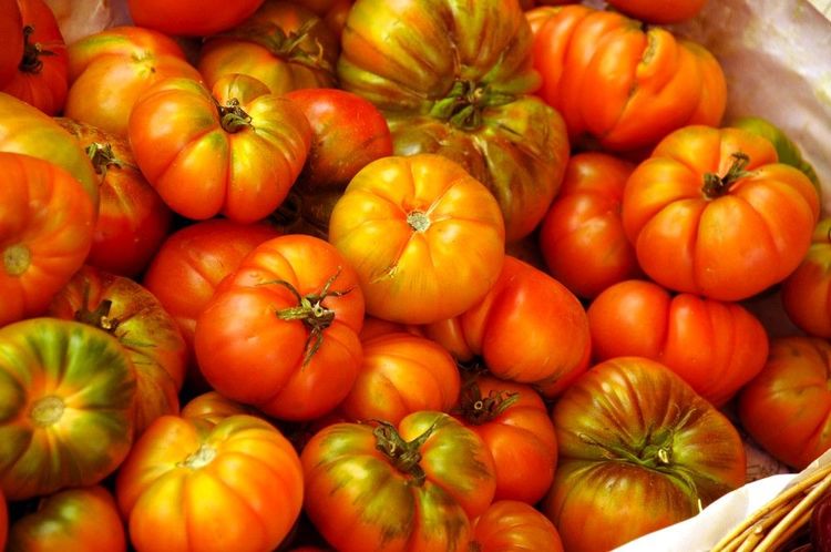 Tomates fraiches sur le marché