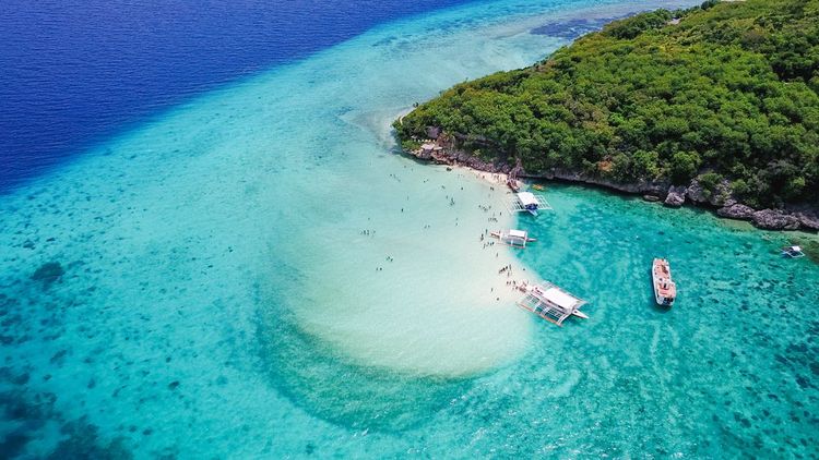 Oslob, au Sud de Cébu, des spots de plongée mais pas de plage