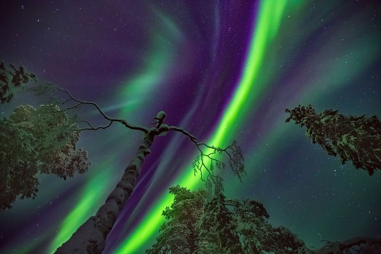 Les aurores boréales de Ivalo - Finlande