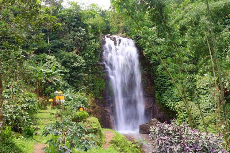 La cascade de la Golden Valley à Bali