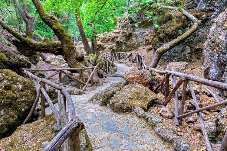 Petaloudes, das Tal der Schmetterlinge auf Rhodos