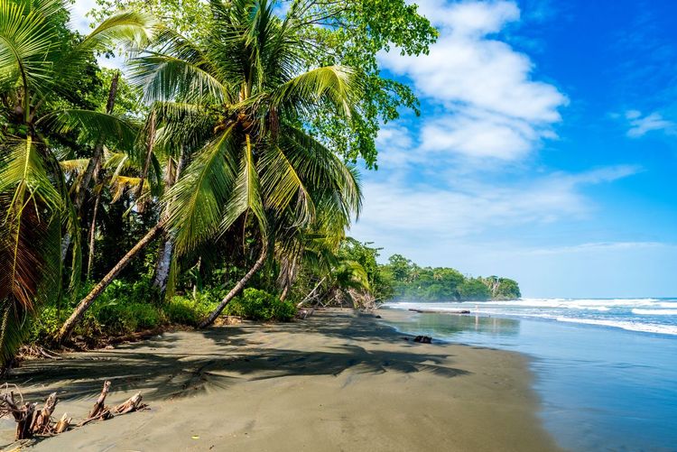 Le parc national de Cahuita sur la côte caribéenne
