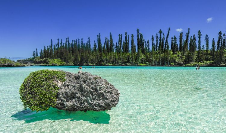 nature, l'Ile aux Pins, Nouvelle-Calédonie.