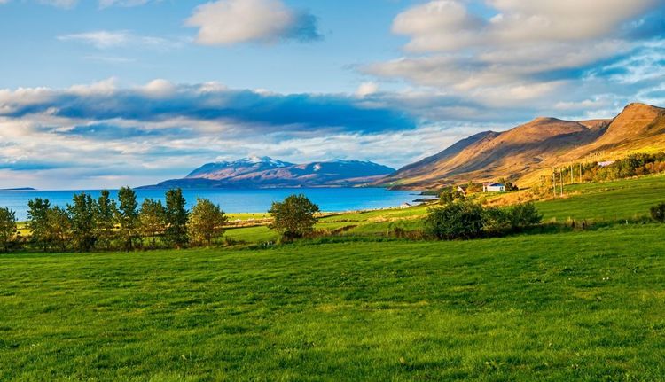 La campagne vivifiée par le puissant fjord l'Eyjafjörður, proche d'Akureyri