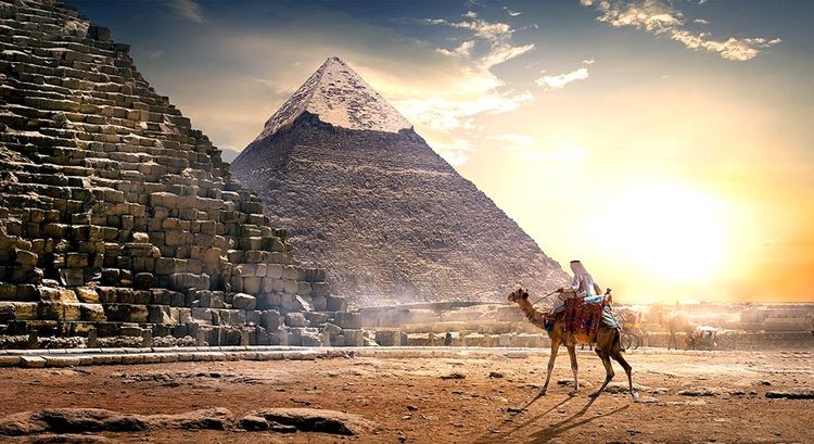 Au pied des pyramides de Gyzeh, à la lisière du Caire