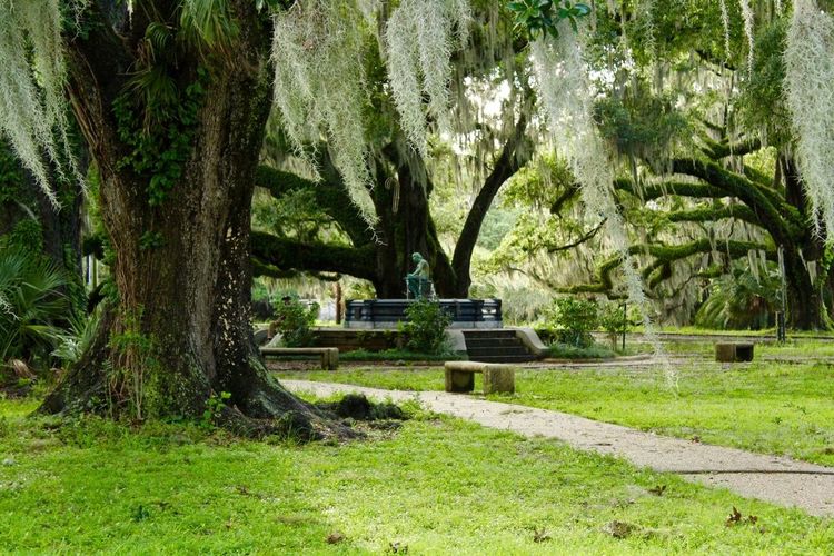 City Park, el pulmón verde de Nueva Orleans