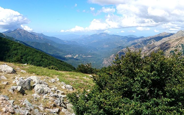 La vallée de la Gravone