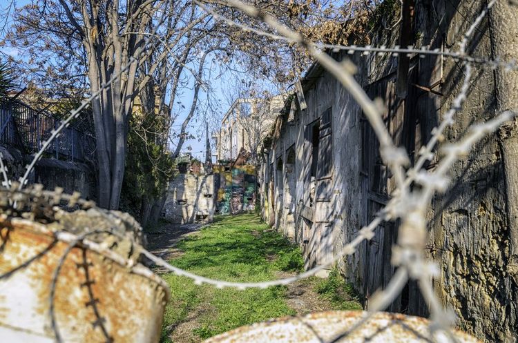 Ligne Verte protégée par des barbelés