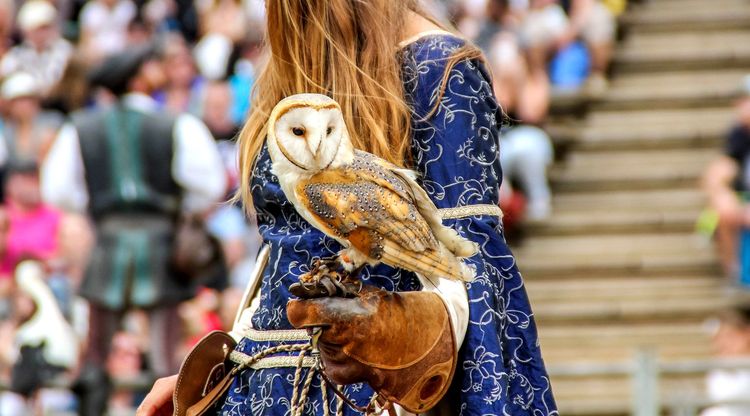Fauconnerie médiévale au Puy du Fou