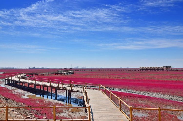 Plage de Panjin, Chine