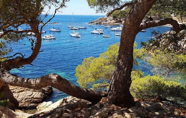 Des bateaux de plaisance mouillent dans l'anse de Méjean
