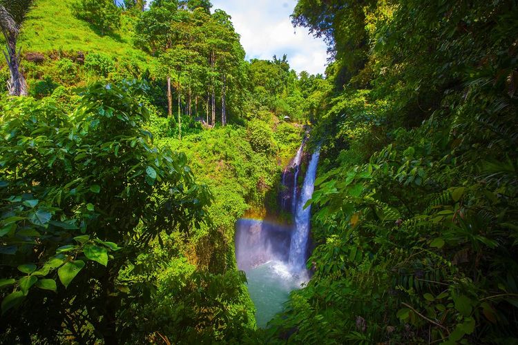 La cascade sacrée d'Aling Aling à Bali